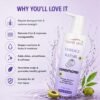 Damage Repair Formula Nourishing Daily -3 Found Skin Damage Repair Formula Nourishing Daily Conditioner for Dry, Frizzy & Weak Strands for Smooth & Manageable Hair 200ml